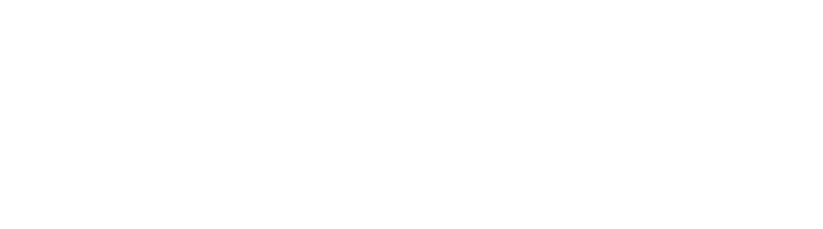 International Snacks logo white
