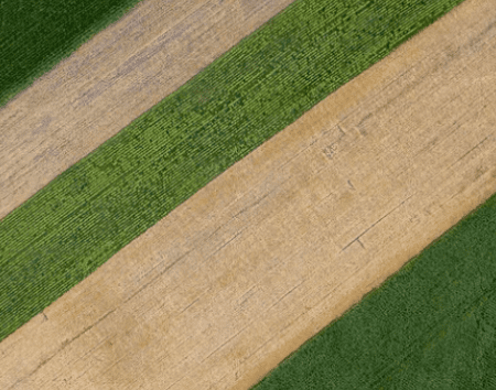 Regenerative farming