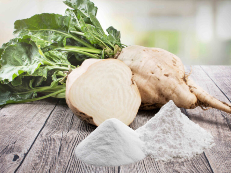 Sugar Beet