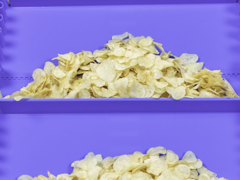 Cover story - Intralox. in-snacks.com